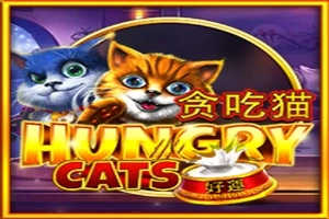 01181 hungry cats